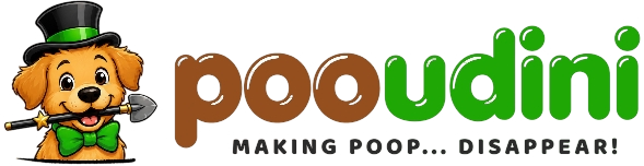 Pooudini